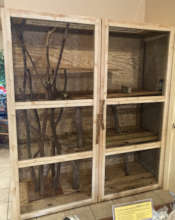 New Snake Enclosure