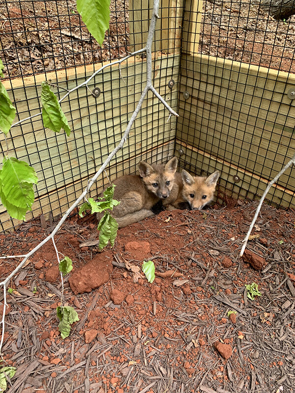 Kits in Enclosure