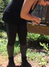 Feeding a transitioning Flicker