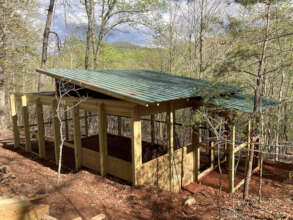 New Fox Enclosure