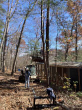 Sanctuary tree maintenance