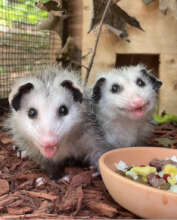 All smiles for lunchtime!