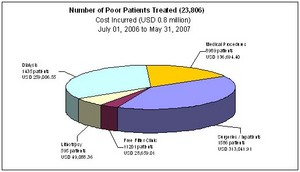 Patients Treated, breakdown of costs and services provided (grap
