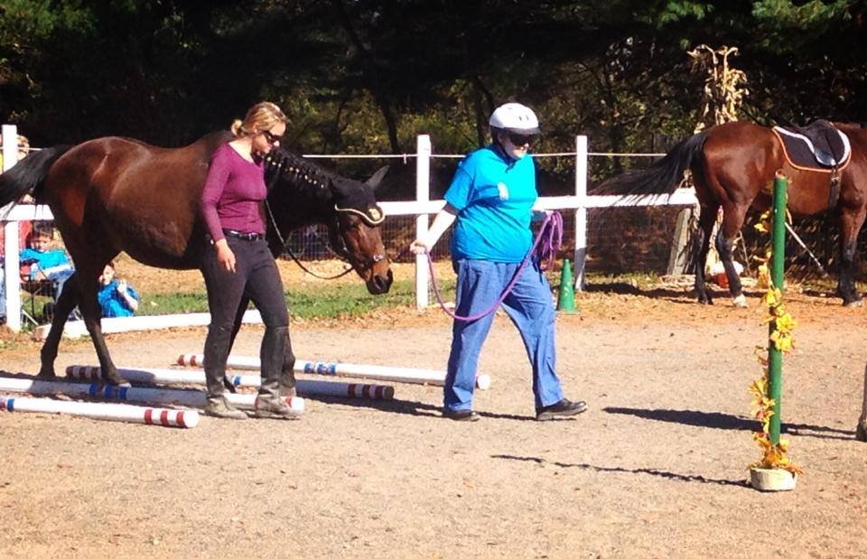 Help A Retired Race Horse Become A Therapy Horse!