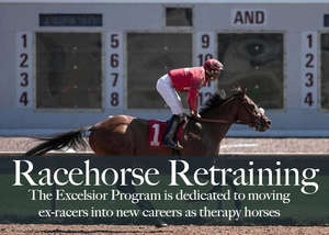 Help A Retired Race Horse Become A Therapy Horse!