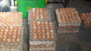 Crates of eggs given as palliatives for immunity