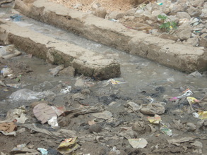 Breeding ground for malaria