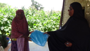 More Nets given out