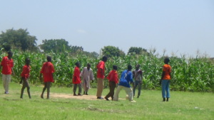 The budding youths