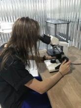 Microscope training