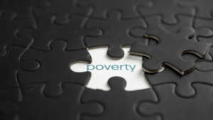 poverty, the puzzle