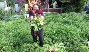 Woman farmer supported by library program