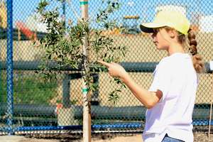Youth Planting Supervisor guiding volunteers