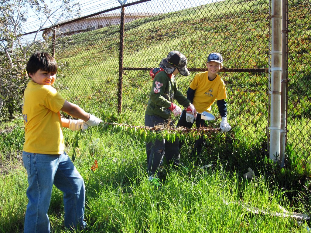 Reduce Pollution on Arbor Day!