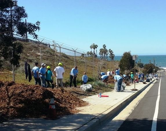 Reduce Pollution on Arbor Day!