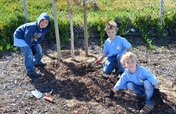 Reduce Pollution on Arbor Day!
