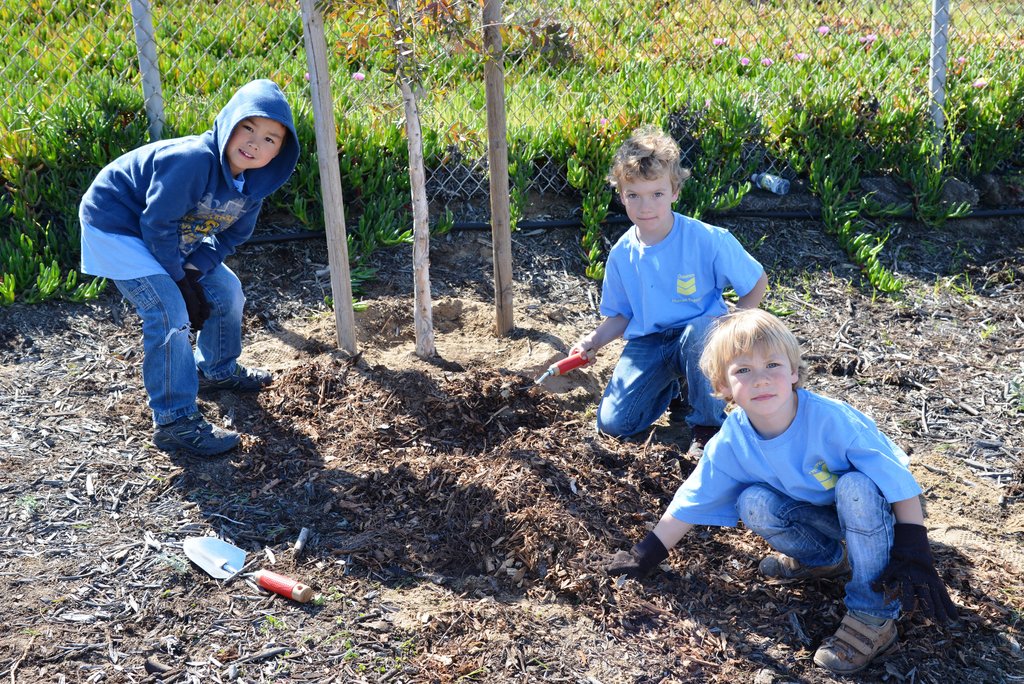 Reduce Pollution on Arbor Day!