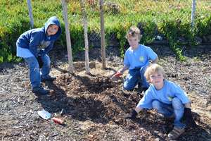 Reduce Pollution on Arbor Day!