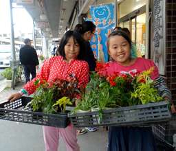 Flower Shop