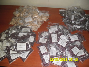 ASSORTED VEGETABLE SEEDS