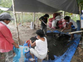 biofertilizer production