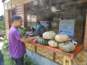 organic vegetables sold at TOFA store