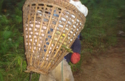 Food, Water & Energy for Haiyan Affected Areas