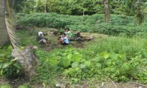 women farmers tending to their demonstratin farm