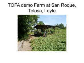 the modest training center at the demofarm