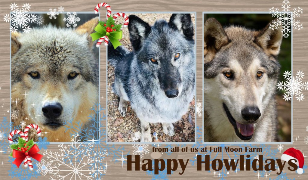 Happy Howlidays!