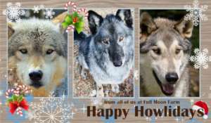 Happy Howlidays!