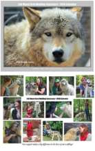 2018 Volunteer Calendar