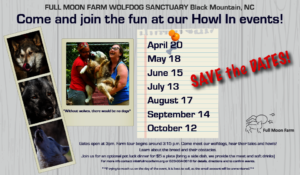 Howl In Schedule if you can visit!