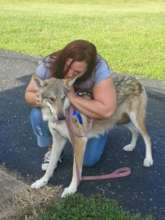 Ace and Amanda