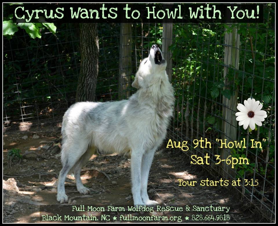 Cyrus