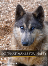 Do what makes you happy