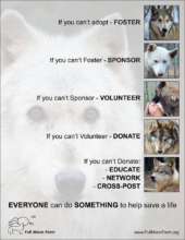 Everyone can do something