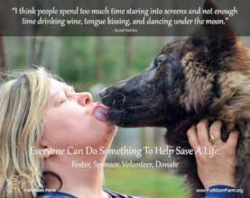 Woofie Kisses are inspiring