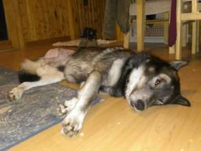 Kaden napping