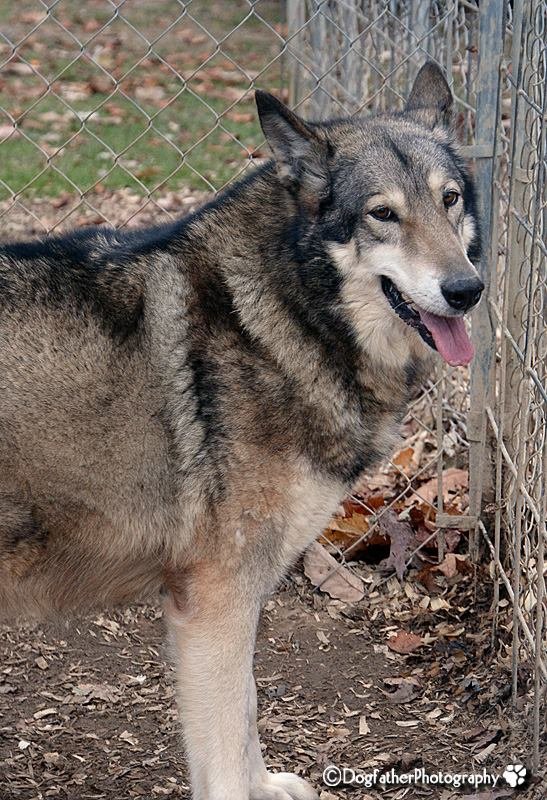 Niki