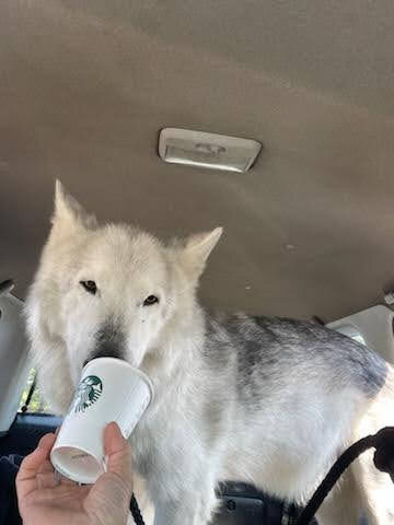 Phoenix is spoiled