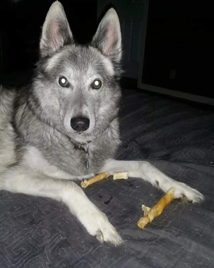 Rudy gets treats