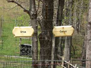 Cyrus and Ursa's new home