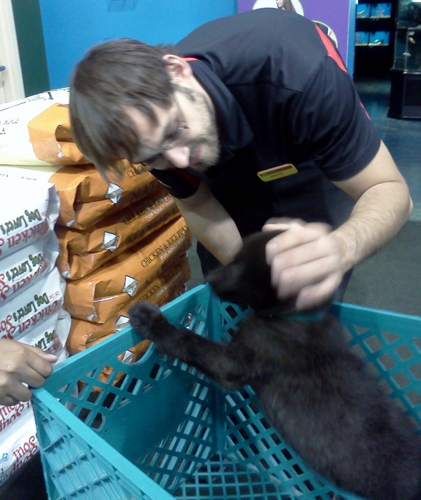 Will Howl for Food!