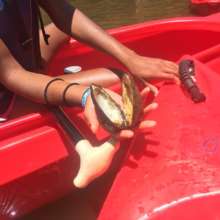 River Paddling Trip