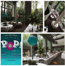 Pop 1