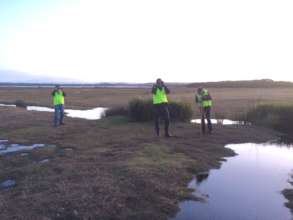 Volunteers looking for mange