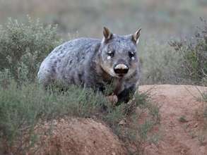 Love your work CVA..Thanks.