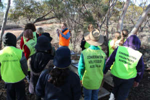 Engaged in environmental learning