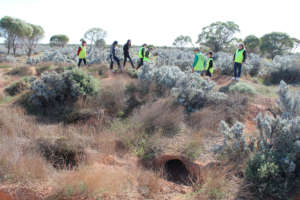 Young Environmental Leaders exploring Brookfield